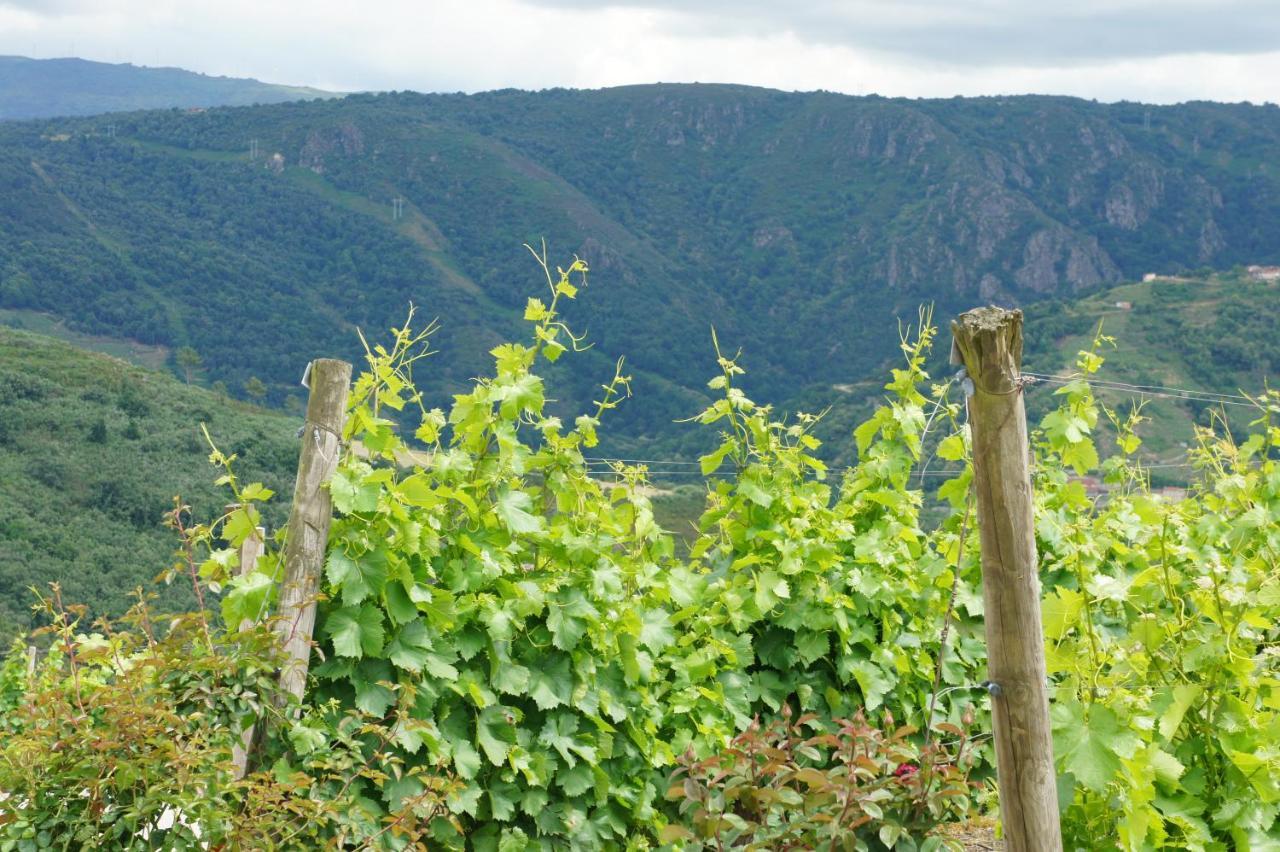 O Muino Casa Ferrador Ribeira Sacra Leilighet Barantes Eksteriør bilde
